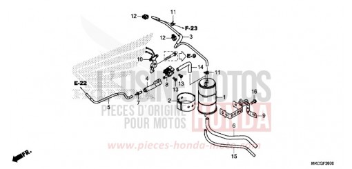 CUVETTE GL1800DAL de 2020